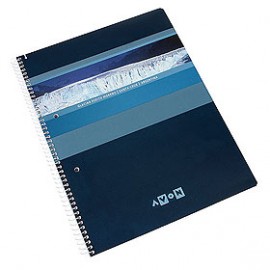 cuaderno-22x29-ledesma-avon